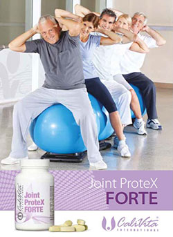 Joint ProteX Forte szórólap