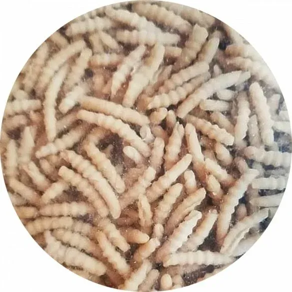 NG Bio tönköly tészta sodort csiga 5kg