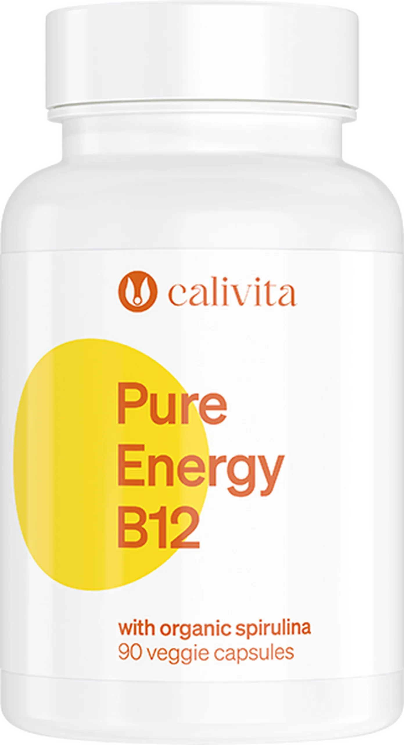 Pure Energy B12